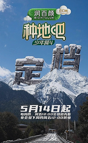 逆风追迹海报